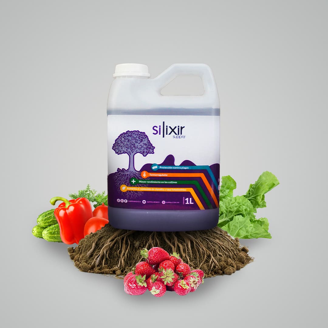 Silixir Suppra 1L
