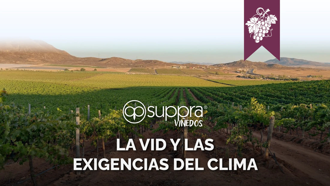 La-vid-y-las-exigencias-del-clima SUPPRA MEXICO