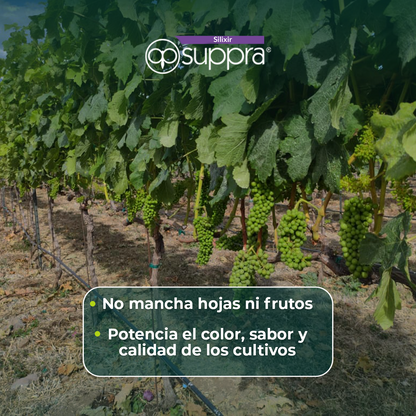 Silixir Suppra 5L