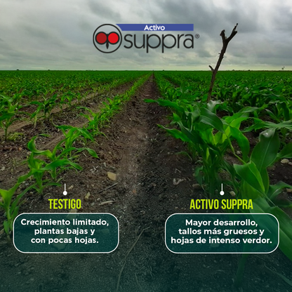 Activo Suppra 1L - Estimulante orgánico