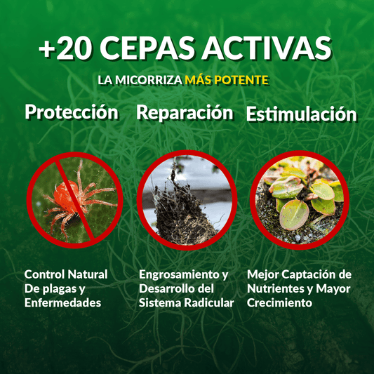 Silicio 1 kg + Micorriza Suppra 2 kg