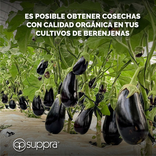 Paquete Biotecnológico Suppra