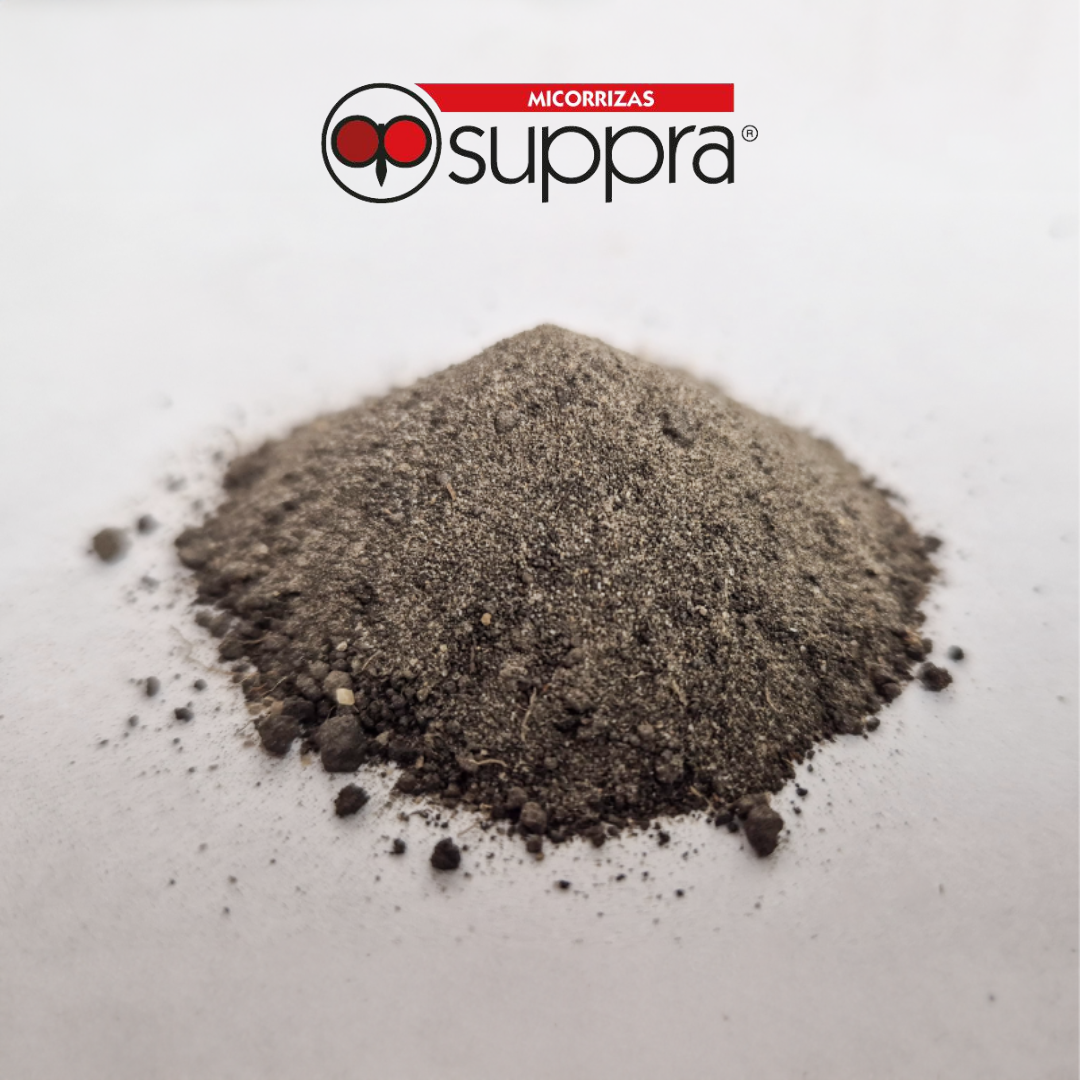 Micorriza Suppra Turf and Garden 2kg