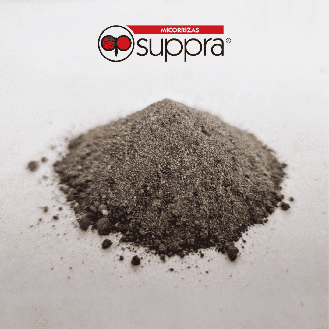 Micorriza Suppra 2kg