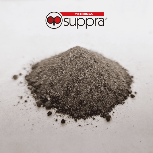 Micorriza Suppra 1 kg