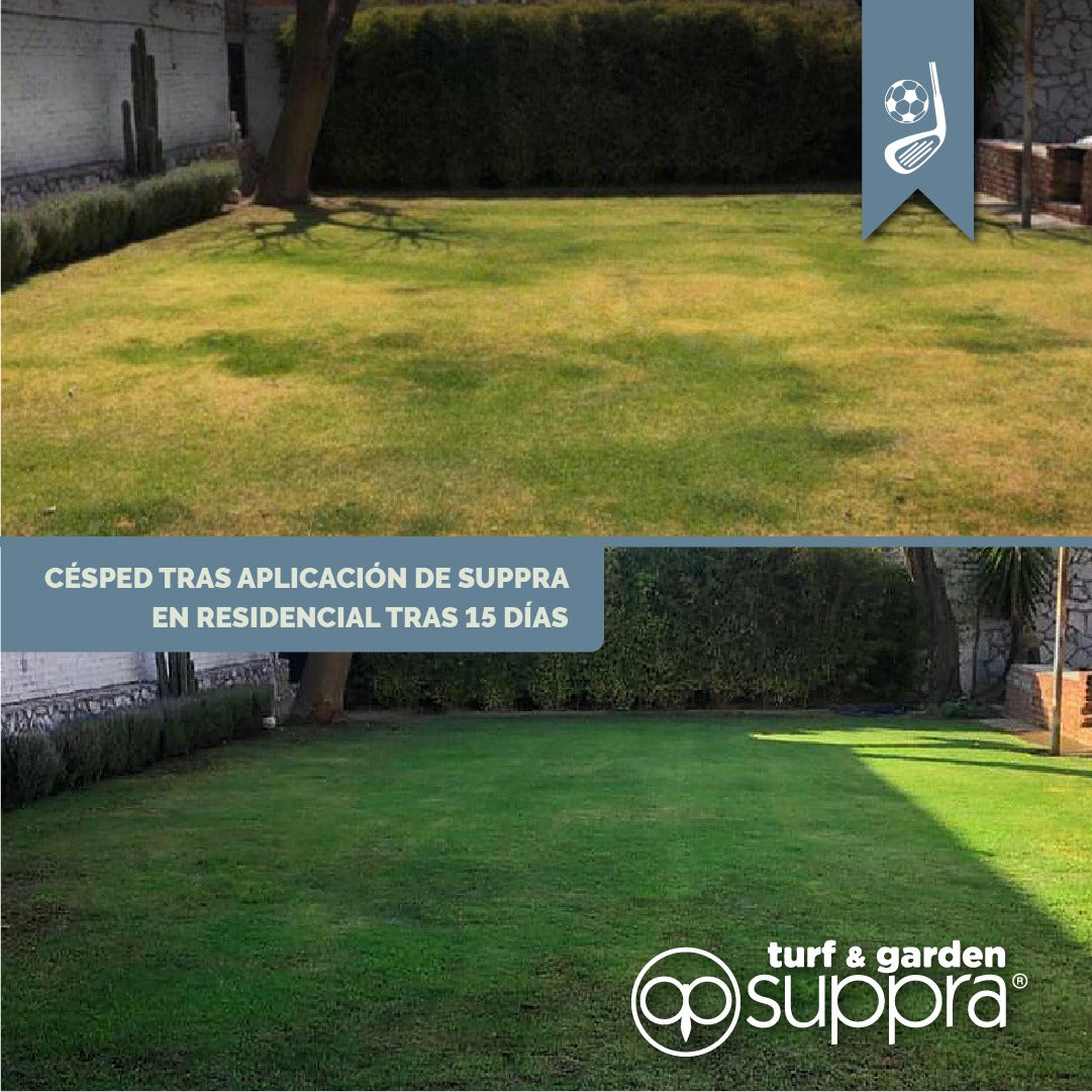 Humus Suppra Turf and Garden 20L