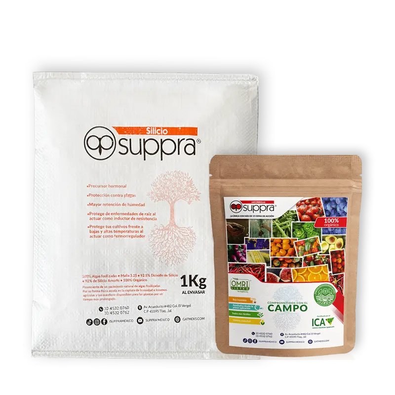 Silicio suppra 1 kg más micorriza suppra 2 kg